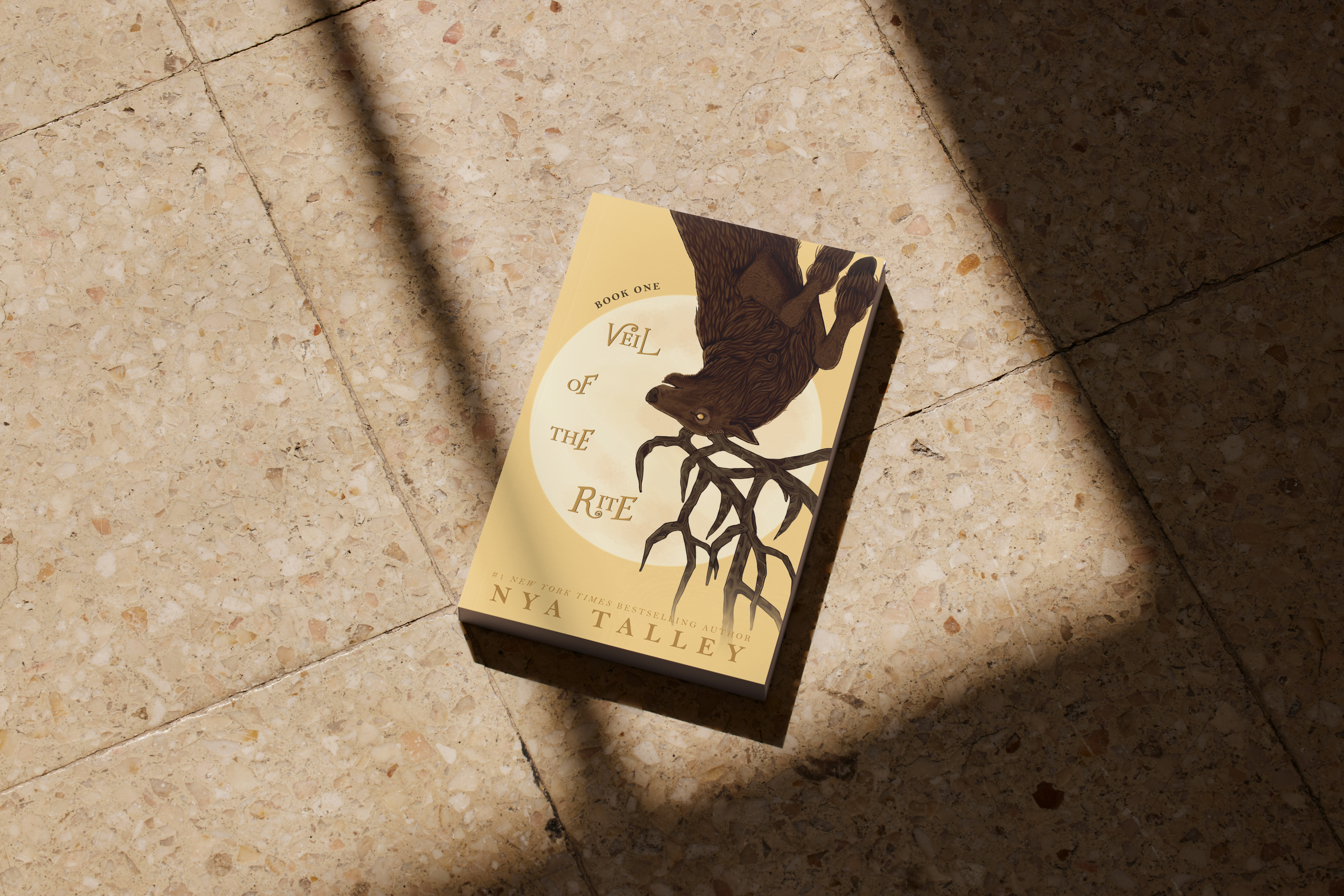 Fantasy Novel Mockup
